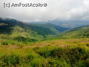 [P01] Privelisti superbe urcand la VF.Bihor » foto by simplegirl
 - 
<span class="allrVoted glyphicon glyphicon-heart hidden" id="av1188333"></span>
<a class="m-l-10 hidden" id="sv1188333" onclick="voting_Foto_DelVot(,1188333,2923)" role="button">șterge vot <span class="glyphicon glyphicon-remove"></span></a>
<a id="v91188333" class=" c-red"  onclick="voting_Foto_SetVot(1188333)" role="button"><span class="glyphicon glyphicon-heart-empty"></span> <b>LIKE</b> = Votează poza</a> <img class="hidden"  id="f1188333W9" src="/imagini/loader.gif" border="0" /><span class="AjErrMes hidden" id="e1188333ErM"></span>