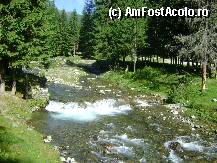 [P05] PEISAJ » foto by georgian7784
 - 
<span class="allrVoted glyphicon glyphicon-heart hidden" id="av11767"></span>
<a class="m-l-10 hidden" id="sv11767" onclick="voting_Foto_DelVot(,11767,2924)" role="button">șterge vot <span class="glyphicon glyphicon-remove"></span></a>
<a id="v911767" class=" c-red"  onclick="voting_Foto_SetVot(11767)" role="button"><span class="glyphicon glyphicon-heart-empty"></span> <b>LIKE</b> = Votează poza</a> <img class="hidden"  id="f11767W9" src="/imagini/loader.gif" border="0" /><span class="AjErrMes hidden" id="e11767ErM"></span>