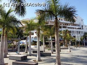 [P20] Imagine dintr-un parc din Costa Adeje.  » foto by marsus
 - 
<span class="allrVoted glyphicon glyphicon-heart hidden" id="av899605"></span>
<a class="m-l-10 hidden" id="sv899605" onclick="voting_Foto_DelVot(,899605,2933)" role="button">șterge vot <span class="glyphicon glyphicon-remove"></span></a>
<a id="v9899605" class=" c-red"  onclick="voting_Foto_SetVot(899605)" role="button"><span class="glyphicon glyphicon-heart-empty"></span> <b>LIKE</b> = Votează poza</a> <img class="hidden"  id="f899605W9" src="/imagini/loader.gif" border="0" /><span class="AjErrMes hidden" id="e899605ErM"></span>