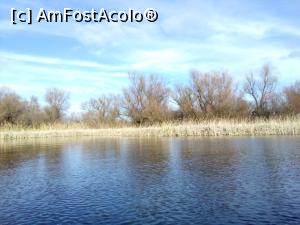 [P38] Lacul Rotund, Gorgova, Brațul Sulina, Tulcea » foto by Mioritik
 - 
<span class="allrVoted glyphicon glyphicon-heart hidden" id="av1276535"></span>
<a class="m-l-10 hidden" id="sv1276535" onclick="voting_Foto_DelVot(,1276535,2956)" role="button">șterge vot <span class="glyphicon glyphicon-remove"></span></a>
<a id="v91276535" class=" c-red"  onclick="voting_Foto_SetVot(1276535)" role="button"><span class="glyphicon glyphicon-heart-empty"></span> <b>LIKE</b> = Votează poza</a> <img class="hidden"  id="f1276535W9" src="/imagini/loader.gif" border="0" /><span class="AjErrMes hidden" id="e1276535ErM"></span>
