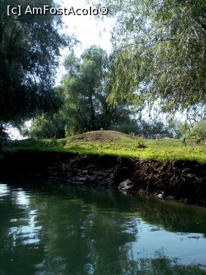 [P26]  -- <small>// FĂRĂ DESCRIERE</small> » foto by viorelgeorgescu
 - 
<span class="allrVoted glyphicon glyphicon-heart hidden" id="av1093111"></span>
<a class="m-l-10 hidden" id="sv1093111" onclick="voting_Foto_DelVot(,1093111,2956)" role="button">șterge vot <span class="glyphicon glyphicon-remove"></span></a>
<a id="v91093111" class=" c-red"  onclick="voting_Foto_SetVot(1093111)" role="button"><span class="glyphicon glyphicon-heart-empty"></span> <b>LIKE</b> = Votează poza</a> <img class="hidden"  id="f1093111W9" src="/imagini/loader.gif" border="0" /><span class="AjErrMes hidden" id="e1093111ErM"></span>