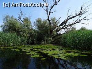 P02 [JUN-2019] Natura începe să ne ofere peisaje nemaivăzute până acum. 