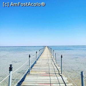 [P04] Pontonul pana la apa adanca si corali » foto by anila82
 - 
<span class="allrVoted glyphicon glyphicon-heart hidden" id="av1095635"></span>
<a class="m-l-10 hidden" id="sv1095635" onclick="voting_Foto_DelVot(,1095635,2974)" role="button">șterge vot <span class="glyphicon glyphicon-remove"></span></a>
<a id="v91095635" class=" c-red"  onclick="voting_Foto_SetVot(1095635)" role="button"><span class="glyphicon glyphicon-heart-empty"></span> <b>LIKE</b> = Votează poza</a> <img class="hidden"  id="f1095635W9" src="/imagini/loader.gif" border="0" /><span class="AjErrMes hidden" id="e1095635ErM"></span>