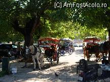 [P08] Trasurile trase de cai, la umbra, in asteptarea calatorilor... » foto by corinka
 - 
<span class="allrVoted glyphicon glyphicon-heart hidden" id="av81771"></span>
<a class="m-l-10 hidden" id="sv81771" onclick="voting_Foto_DelVot(,81771,3004)" role="button">șterge vot <span class="glyphicon glyphicon-remove"></span></a>
<a id="v981771" class=" c-red"  onclick="voting_Foto_SetVot(81771)" role="button"><span class="glyphicon glyphicon-heart-empty"></span> <b>LIKE</b> = Votează poza</a> <img class="hidden"  id="f81771W9" src="/imagini/loader.gif" border="0" /><span class="AjErrMes hidden" id="e81771ErM"></span>