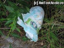 [P14] PE AICI A TRECUT UN PUI DE ROMAN » foto by Abdul
 - 
<span class="allrVoted glyphicon glyphicon-heart hidden" id="av13128"></span>
<a class="m-l-10 hidden" id="sv13128" onclick="voting_Foto_DelVot(,13128,3025)" role="button">șterge vot <span class="glyphicon glyphicon-remove"></span></a>
<a id="v913128" class=" c-red"  onclick="voting_Foto_SetVot(13128)" role="button"><span class="glyphicon glyphicon-heart-empty"></span> <b>LIKE</b> = Votează poza</a> <img class="hidden"  id="f13128W9" src="/imagini/loader.gif" border="0" /><span class="AjErrMes hidden" id="e13128ErM"></span>