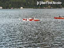 [P18] lacul Zeller See si lebedele » foto by dannek
 - 
<span class="allrVoted glyphicon glyphicon-heart hidden" id="av160671"></span>
<a class="m-l-10 hidden" id="sv160671" onclick="voting_Foto_DelVot(,160671,3095)" role="button">șterge vot <span class="glyphicon glyphicon-remove"></span></a>
<a id="v9160671" class=" c-red"  onclick="voting_Foto_SetVot(160671)" role="button"><span class="glyphicon glyphicon-heart-empty"></span> <b>LIKE</b> = Votează poza</a> <img class="hidden"  id="f160671W9" src="/imagini/loader.gif" border="0" /><span class="AjErrMes hidden" id="e160671ErM"></span>