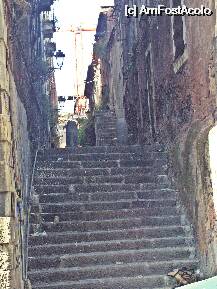 [P5x] straduta din Catania » foto by Miss Butterfly
 - 
<span class="allrVoted glyphicon glyphicon-heart hidden" id="av14226"></span>
<a class="m-l-10 hidden" id="sv14226" onclick="voting_Foto_DelVot(,14226,3109)" role="button">șterge vot <span class="glyphicon glyphicon-remove"></span></a>
<a id="v914226" class=" c-red"  onclick="voting_Foto_SetVot(14226)" role="button"><span class="glyphicon glyphicon-heart-empty"></span> <b>LIKE</b> = Votează poza</a> <img class="hidden"  id="f14226W9" src="/imagini/loader.gif" border="0" /><span class="AjErrMes hidden" id="e14226ErM"></span>