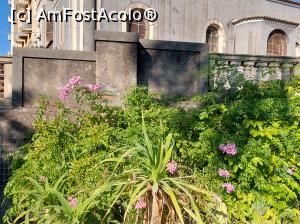 [P98] Vedere spre Via Antonio Longo și Chiesa San Nicolo al Borgo și desigur tufele frumoase de incarvillea roz. Poate le cunoașteți ca și gloxinia. » foto by maryka
 - 
<span class="allrVoted glyphicon glyphicon-heart hidden" id="av1338268"></span>
<a class="m-l-10 hidden" id="sv1338268" onclick="voting_Foto_DelVot(,1338268,3109)" role="button">șterge vot <span class="glyphicon glyphicon-remove"></span></a>
<a id="v91338268" class=" c-red"  onclick="voting_Foto_SetVot(1338268)" role="button"><span class="glyphicon glyphicon-heart-empty"></span> <b>LIKE</b> = Votează poza</a> <img class="hidden"  id="f1338268W9" src="/imagini/loader.gif" border="0" /><span class="AjErrMes hidden" id="e1338268ErM"></span>