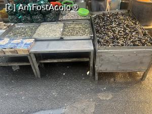 [P04] Catania- La Pescheria. Taraba cu stridiile » foto by Yersinia Pestis
 - 
<span class="allrVoted glyphicon glyphicon-heart hidden" id="av1516417"></span>
<a class="m-l-10 hidden" id="sv1516417" onclick="voting_Foto_DelVot(,1516417,3109)" role="button">șterge vot <span class="glyphicon glyphicon-remove"></span></a>
<a id="v91516417" class=" c-red"  onclick="voting_Foto_SetVot(1516417)" role="button"><span class="glyphicon glyphicon-heart-empty"></span> <b>LIKE</b> = Votează poza</a> <img class="hidden"  id="f1516417W9" src="/imagini/loader.gif" border="0" /><span class="AjErrMes hidden" id="e1516417ErM"></span>