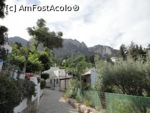 [P26] Străduța s-a îngustat deja, în curând vom ajunge la poteca care duce în Parcul Natural Zia.  » foto by maryka
 - 
<span class="allrVoted glyphicon glyphicon-heart hidden" id="av1020544"></span>
<a class="m-l-10 hidden" id="sv1020544" onclick="voting_Foto_DelVot(,1020544,3145)" role="button">șterge vot <span class="glyphicon glyphicon-remove"></span></a>
<a id="v91020544" class=" c-red"  onclick="voting_Foto_SetVot(1020544)" role="button"><span class="glyphicon glyphicon-heart-empty"></span> <b>LIKE</b> = Votează poza</a> <img class="hidden"  id="f1020544W9" src="/imagini/loader.gif" border="0" /><span class="AjErrMes hidden" id="e1020544ErM"></span>