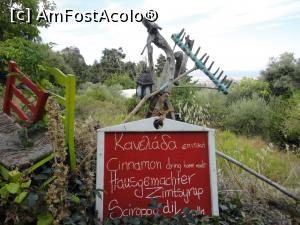 [P28] Decor, Watermill of Zia.  » foto by maryka
 - 
<span class="allrVoted glyphicon glyphicon-heart hidden" id="av1020546"></span>
<a class="m-l-10 hidden" id="sv1020546" onclick="voting_Foto_DelVot(,1020546,3145)" role="button">șterge vot <span class="glyphicon glyphicon-remove"></span></a>
<a id="v91020546" class=" c-red"  onclick="voting_Foto_SetVot(1020546)" role="button"><span class="glyphicon glyphicon-heart-empty"></span> <b>LIKE</b> = Votează poza</a> <img class="hidden"  id="f1020546W9" src="/imagini/loader.gif" border="0" /><span class="AjErrMes hidden" id="e1020546ErM"></span>