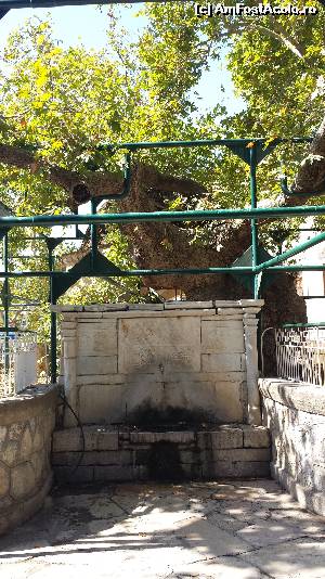 [P02] Platanul lui Hipocrate » foto by popescuionut
 - 
<span class="allrVoted glyphicon glyphicon-heart hidden" id="av526023"></span>
<a class="m-l-10 hidden" id="sv526023" onclick="voting_Foto_DelVot(,526023,3145)" role="button">șterge vot <span class="glyphicon glyphicon-remove"></span></a>
<a id="v9526023" class=" c-red"  onclick="voting_Foto_SetVot(526023)" role="button"><span class="glyphicon glyphicon-heart-empty"></span> <b>LIKE</b> = Votează poza</a> <img class="hidden"  id="f526023W9" src="/imagini/loader.gif" border="0" /><span class="AjErrMes hidden" id="e526023ErM"></span>