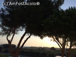 [P01] Aproape rasarit de soare, din balcon » foto by Biankita
 - 
<span class="allrVoted glyphicon glyphicon-heart hidden" id="av998076"></span>
<a class="m-l-10 hidden" id="sv998076" onclick="voting_Foto_DelVot(,998076,3145)" role="button">șterge vot <span class="glyphicon glyphicon-remove"></span></a>
<a id="v9998076" class=" c-red"  onclick="voting_Foto_SetVot(998076)" role="button"><span class="glyphicon glyphicon-heart-empty"></span> <b>LIKE</b> = Votează poza</a> <img class="hidden"  id="f998076W9" src="/imagini/loader.gif" border="0" /><span class="AjErrMes hidden" id="e998076ErM"></span>