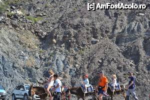 [P12]  -- <small>// FĂRĂ DESCRIERE</small> » foto by tazmumy
 - 
<span class="allrVoted glyphicon glyphicon-heart hidden" id="av436173"></span>
<a class="m-l-10 hidden" id="sv436173" onclick="voting_Foto_DelVot(,436173,3145)" role="button">șterge vot <span class="glyphicon glyphicon-remove"></span></a>
<a id="v9436173" class=" c-red"  onclick="voting_Foto_SetVot(436173)" role="button"><span class="glyphicon glyphicon-heart-empty"></span> <b>LIKE</b> = Votează poza</a> <img class="hidden"  id="f436173W9" src="/imagini/loader.gif" border="0" /><span class="AjErrMes hidden" id="e436173ErM"></span>