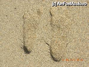 [P20] am lasat si no ceva in urma ---in Bali » foto by andreea72
 - 
<span class="allrVoted glyphicon glyphicon-heart hidden" id="av502123"></span>
<a class="m-l-10 hidden" id="sv502123" onclick="voting_Foto_DelVot(,502123,3149)" role="button">șterge vot <span class="glyphicon glyphicon-remove"></span></a>
<a id="v9502123" class=" c-red"  onclick="voting_Foto_SetVot(502123)" role="button"><span class="glyphicon glyphicon-heart-empty"></span> <b>LIKE</b> = Votează poza</a> <img class="hidden"  id="f502123W9" src="/imagini/loader.gif" border="0" /><span class="AjErrMes hidden" id="e502123ErM"></span>