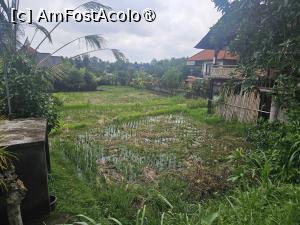 [P02] plantatie de orez pe Campuhan » foto by Chloe
 - 
<span class="allrVoted glyphicon glyphicon-heart hidden" id="av1477070"></span>
<a class="m-l-10 hidden" id="sv1477070" onclick="voting_Foto_DelVot(,1477070,3149)" role="button">șterge vot <span class="glyphicon glyphicon-remove"></span></a>
<a id="v91477070" class=" c-red"  onclick="voting_Foto_SetVot(1477070)" role="button"><span class="glyphicon glyphicon-heart-empty"></span> <b>LIKE</b> = Votează poza</a> <img class="hidden"  id="f1477070W9" src="/imagini/loader.gif" border="0" /><span class="AjErrMes hidden" id="e1477070ErM"></span>