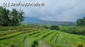 [P58] orezaria JAtiluwih » foto by Chloe
 - 
<span class="allrVoted glyphicon glyphicon-heart hidden" id="av1477126"></span>
<a class="m-l-10 hidden" id="sv1477126" onclick="voting_Foto_DelVot(,1477126,3149)" role="button">șterge vot <span class="glyphicon glyphicon-remove"></span></a>
<a id="v91477126" class=" c-red"  onclick="voting_Foto_SetVot(1477126)" role="button"><span class="glyphicon glyphicon-heart-empty"></span> <b>LIKE</b> = Votează poza</a> <img class="hidden"  id="f1477126W9" src="/imagini/loader.gif" border="0" /><span class="AjErrMes hidden" id="e1477126ErM"></span>