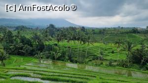 [P59] orezaria JAtiluwih » foto by Chloe
 - 
<span class="allrVoted glyphicon glyphicon-heart hidden" id="av1477127"></span>
<a class="m-l-10 hidden" id="sv1477127" onclick="voting_Foto_DelVot(,1477127,3149)" role="button">șterge vot <span class="glyphicon glyphicon-remove"></span></a>
<a id="v91477127" class=" c-red"  onclick="voting_Foto_SetVot(1477127)" role="button"><span class="glyphicon glyphicon-heart-empty"></span> <b>LIKE</b> = Votează poza</a> <img class="hidden"  id="f1477127W9" src="/imagini/loader.gif" border="0" /><span class="AjErrMes hidden" id="e1477127ErM"></span>