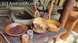 [P68] prezentare la plantatia de cafea » foto by Chloe
 - 
<span class="allrVoted glyphicon glyphicon-heart hidden" id="av1477564"></span>
<a class="m-l-10 hidden" id="sv1477564" onclick="voting_Foto_DelVot(,1477564,3149)" role="button">șterge vot <span class="glyphicon glyphicon-remove"></span></a>
<a id="v91477564" class=" c-red"  onclick="voting_Foto_SetVot(1477564)" role="button"><span class="glyphicon glyphicon-heart-empty"></span> <b>LIKE</b> = Votează poza</a> <img class="hidden"  id="f1477564W9" src="/imagini/loader.gif" border="0" /><span class="AjErrMes hidden" id="e1477564ErM"></span>