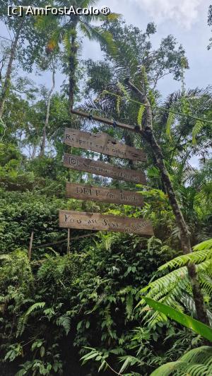 [P73] catre cascada Suwat - preferata noastra » foto by Chloe
 - 
<span class="allrVoted glyphicon glyphicon-heart hidden" id="av1477569"></span>
<a class="m-l-10 hidden" id="sv1477569" onclick="voting_Foto_DelVot(,1477569,3149)" role="button">șterge vot <span class="glyphicon glyphicon-remove"></span></a>
<a id="v91477569" class=" c-red"  onclick="voting_Foto_SetVot(1477569)" role="button"><span class="glyphicon glyphicon-heart-empty"></span> <b>LIKE</b> = Votează poza</a> <img class="hidden"  id="f1477569W9" src="/imagini/loader.gif" border="0" /><span class="AjErrMes hidden" id="e1477569ErM"></span>