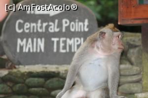 [P43] The Monkey Forest Ubud » foto by halekulani
 - 
<span class="allrVoted glyphicon glyphicon-heart hidden" id="av717941"></span>
<a class="m-l-10 hidden" id="sv717941" onclick="voting_Foto_DelVot(,717941,3149)" role="button">șterge vot <span class="glyphicon glyphicon-remove"></span></a>
<a id="v9717941" class=" c-red"  onclick="voting_Foto_SetVot(717941)" role="button"><span class="glyphicon glyphicon-heart-empty"></span> <b>LIKE</b> = Votează poza</a> <img class="hidden"  id="f717941W9" src="/imagini/loader.gif" border="0" /><span class="AjErrMes hidden" id="e717941ErM"></span>