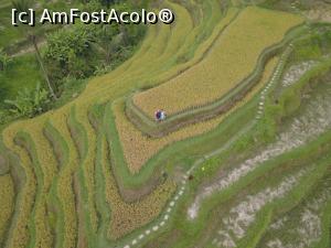 [P12] Tegalalang rice terrace » foto by dan39
 - 
<span class="allrVoted glyphicon glyphicon-heart hidden" id="av1142950"></span>
<a class="m-l-10 hidden" id="sv1142950" onclick="voting_Foto_DelVot(,1142950,3149)" role="button">șterge vot <span class="glyphicon glyphicon-remove"></span></a>
<a id="v91142950" class=" c-red"  onclick="voting_Foto_SetVot(1142950)" role="button"><span class="glyphicon glyphicon-heart-empty"></span> <b>LIKE</b> = Votează poza</a> <img class="hidden"  id="f1142950W9" src="/imagini/loader.gif" border="0" /><span class="AjErrMes hidden" id="e1142950ErM"></span>