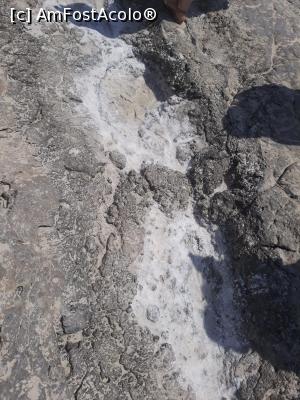 [P01] Sare in insula Balos » foto by Adelinaaa
 - 
<span class="allrVoted glyphicon glyphicon-heart hidden" id="av1004058"></span>
<a class="m-l-10 hidden" id="sv1004058" onclick="voting_Foto_DelVot(,1004058,3159)" role="button">șterge vot <span class="glyphicon glyphicon-remove"></span></a>
<a id="v91004058" class=" c-red"  onclick="voting_Foto_SetVot(1004058)" role="button"><span class="glyphicon glyphicon-heart-empty"></span> <b>LIKE</b> = Votează poza</a> <img class="hidden"  id="f1004058W9" src="/imagini/loader.gif" border="0" /><span class="AjErrMes hidden" id="e1004058ErM"></span>