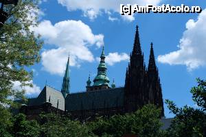 [P04] Catedrala Sf. Vitus, din incinta Castelului Praga » foto by ariciu*
 - 
<span class="allrVoted glyphicon glyphicon-heart hidden" id="av427377"></span>
<a class="m-l-10 hidden" id="sv427377" onclick="voting_Foto_DelVot(,427377,3167)" role="button">șterge vot <span class="glyphicon glyphicon-remove"></span></a>
<a id="v9427377" class=" c-red"  onclick="voting_Foto_SetVot(427377)" role="button"><span class="glyphicon glyphicon-heart-empty"></span> <b>LIKE</b> = Votează poza</a> <img class="hidden"  id="f427377W9" src="/imagini/loader.gif" border="0" /><span class="AjErrMes hidden" id="e427377ErM"></span>