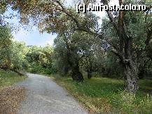 [P01] drum spre cascada » foto by sniga
 - 
<span class="allrVoted glyphicon glyphicon-heart hidden" id="av326515"></span>
<a class="m-l-10 hidden" id="sv326515" onclick="voting_Foto_DelVot(,326515,3173)" role="button">șterge vot <span class="glyphicon glyphicon-remove"></span></a>
<a id="v9326515" class=" c-red"  onclick="voting_Foto_SetVot(326515)" role="button"><span class="glyphicon glyphicon-heart-empty"></span> <b>LIKE</b> = Votează poza</a> <img class="hidden"  id="f326515W9" src="/imagini/loader.gif" border="0" /><span class="AjErrMes hidden" id="e326515ErM"></span>