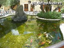 [P12] Fiskardo » foto by sniga
 - 
<span class="allrVoted glyphicon glyphicon-heart hidden" id="av326529"></span>
<a class="m-l-10 hidden" id="sv326529" onclick="voting_Foto_DelVot(,326529,3173)" role="button">șterge vot <span class="glyphicon glyphicon-remove"></span></a>
<a id="v9326529" class=" c-red"  onclick="voting_Foto_SetVot(326529)" role="button"><span class="glyphicon glyphicon-heart-empty"></span> <b>LIKE</b> = Votează poza</a> <img class="hidden"  id="f326529W9" src="/imagini/loader.gif" border="0" /><span class="AjErrMes hidden" id="e326529ErM"></span>