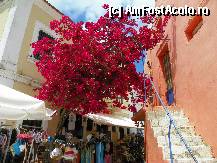 [P13]  -- <small>// FĂRĂ DESCRIERE</small> » foto by sniga
 - 
<span class="allrVoted glyphicon glyphicon-heart hidden" id="av326530"></span>
<a class="m-l-10 hidden" id="sv326530" onclick="voting_Foto_DelVot(,326530,3173)" role="button">șterge vot <span class="glyphicon glyphicon-remove"></span></a>
<a id="v9326530" class=" c-red"  onclick="voting_Foto_SetVot(326530)" role="button"><span class="glyphicon glyphicon-heart-empty"></span> <b>LIKE</b> = Votează poza</a> <img class="hidden"  id="f326530W9" src="/imagini/loader.gif" border="0" /><span class="AjErrMes hidden" id="e326530ErM"></span>