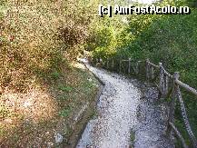 [P03]  -- <small>// FĂRĂ DESCRIERE</small> » foto by sniga
 - 
<span class="allrVoted glyphicon glyphicon-heart hidden" id="av326518"></span>
<a class="m-l-10 hidden" id="sv326518" onclick="voting_Foto_DelVot(,326518,3173)" role="button">șterge vot <span class="glyphicon glyphicon-remove"></span></a>
<a id="v9326518" class=" c-red"  onclick="voting_Foto_SetVot(326518)" role="button"><span class="glyphicon glyphicon-heart-empty"></span> <b>LIKE</b> = Votează poza</a> <img class="hidden"  id="f326518W9" src="/imagini/loader.gif" border="0" /><span class="AjErrMes hidden" id="e326518ErM"></span>