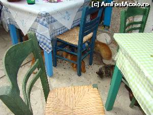 [P43] Toata suflarea la masa...  » foto by AlexS
 - 
<span class="allrVoted glyphicon glyphicon-heart hidden" id="av596977"></span>
<a class="m-l-10 hidden" id="sv596977" onclick="voting_Foto_DelVot(,596977,3173)" role="button">șterge vot <span class="glyphicon glyphicon-remove"></span></a>
<a id="v9596977" class=" c-red"  onclick="voting_Foto_SetVot(596977)" role="button"><span class="glyphicon glyphicon-heart-empty"></span> <b>LIKE</b> = Votează poza</a> <img class="hidden"  id="f596977W9" src="/imagini/loader.gif" border="0" /><span class="AjErrMes hidden" id="e596977ErM"></span>