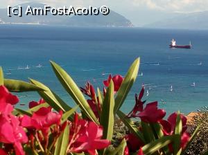 [P20] marea langa Vasiliki » foto by adryana
 - 
<span class="allrVoted glyphicon glyphicon-heart hidden" id="av1091113"></span>
<a class="m-l-10 hidden" id="sv1091113" onclick="voting_Foto_DelVot(,1091113,3173)" role="button">șterge vot <span class="glyphicon glyphicon-remove"></span></a>
<a id="v91091113" class=" c-red"  onclick="voting_Foto_SetVot(1091113)" role="button"><span class="glyphicon glyphicon-heart-empty"></span> <b>LIKE</b> = Votează poza</a> <img class="hidden"  id="f1091113W9" src="/imagini/loader.gif" border="0" /><span class="AjErrMes hidden" id="e1091113ErM"></span>