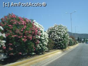 [P05]  -- <small>// FĂRĂ DESCRIERE</small> » foto by adryana
 - 
<span class="allrVoted glyphicon glyphicon-heart hidden" id="av1091049"></span>
<a class="m-l-10 hidden" id="sv1091049" onclick="voting_Foto_DelVot(,1091049,3173)" role="button">șterge vot <span class="glyphicon glyphicon-remove"></span></a>
<a id="v91091049" class=" c-red"  onclick="voting_Foto_SetVot(1091049)" role="button"><span class="glyphicon glyphicon-heart-empty"></span> <b>LIKE</b> = Votează poza</a> <img class="hidden"  id="f1091049W9" src="/imagini/loader.gif" border="0" /><span class="AjErrMes hidden" id="e1091049ErM"></span>