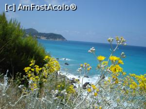 [P06] marea, in drum spre Agios Nikitas » foto by adryana
 - 
<span class="allrVoted glyphicon glyphicon-heart hidden" id="av1091050"></span>
<a class="m-l-10 hidden" id="sv1091050" onclick="voting_Foto_DelVot(,1091050,3173)" role="button">șterge vot <span class="glyphicon glyphicon-remove"></span></a>
<a id="v91091050" class=" c-red"  onclick="voting_Foto_SetVot(1091050)" role="button"><span class="glyphicon glyphicon-heart-empty"></span> <b>LIKE</b> = Votează poza</a> <img class="hidden"  id="f1091050W9" src="/imagini/loader.gif" border="0" /><span class="AjErrMes hidden" id="e1091050ErM"></span>