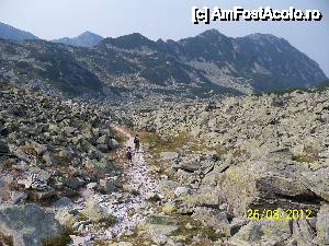 [P19] Retezat - din nou spre Pietrele » foto by Lumis66
 - 
<span class="allrVoted glyphicon glyphicon-heart hidden" id="av398221"></span>
<a class="m-l-10 hidden" id="sv398221" onclick="voting_Foto_DelVot(,398221,3180)" role="button">șterge vot <span class="glyphicon glyphicon-remove"></span></a>
<a id="v9398221" class=" c-red"  onclick="voting_Foto_SetVot(398221)" role="button"><span class="glyphicon glyphicon-heart-empty"></span> <b>LIKE</b> = Votează poza</a> <img class="hidden"  id="f398221W9" src="/imagini/loader.gif" border="0" /><span class="AjErrMes hidden" id="e398221ErM"></span>