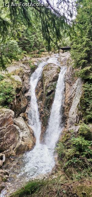 [P15] Cascada Lolaia » foto by noi doi
 - 
<span class="allrVoted glyphicon glyphicon-heart hidden" id="av1254991"></span>
<a class="m-l-10 hidden" id="sv1254991" onclick="voting_Foto_DelVot(,1254991,3180)" role="button">șterge vot <span class="glyphicon glyphicon-remove"></span></a>
<a id="v91254991" class=" c-red"  onclick="voting_Foto_SetVot(1254991)" role="button"><span class="glyphicon glyphicon-heart-empty"></span> <b>LIKE</b> = Votează poza</a> <img class="hidden"  id="f1254991W9" src="/imagini/loader.gif" border="0" /><span class="AjErrMes hidden" id="e1254991ErM"></span>