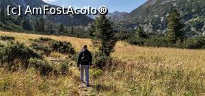 [P03] Parasim padurea si iesim intr-o poienita. Ce frumos e golul alpin. » foto by noi doi
 - 
<span class="allrVoted glyphicon glyphicon-heart hidden" id="av1254979"></span>
<a class="m-l-10 hidden" id="sv1254979" onclick="voting_Foto_DelVot(,1254979,3180)" role="button">șterge vot <span class="glyphicon glyphicon-remove"></span></a>
<a id="v91254979" class=" c-red"  onclick="voting_Foto_SetVot(1254979)" role="button"><span class="glyphicon glyphicon-heart-empty"></span> <b>LIKE</b> = Votează poza</a> <img class="hidden"  id="f1254979W9" src="/imagini/loader.gif" border="0" /><span class="AjErrMes hidden" id="e1254979ErM"></span>