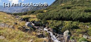[P04] Paraul Gales. Suntem pesemne aproape de lac » foto by noi doi
 - 
<span class="allrVoted glyphicon glyphicon-heart hidden" id="av1254980"></span>
<a class="m-l-10 hidden" id="sv1254980" onclick="voting_Foto_DelVot(,1254980,3180)" role="button">șterge vot <span class="glyphicon glyphicon-remove"></span></a>
<a id="v91254980" class=" c-red"  onclick="voting_Foto_SetVot(1254980)" role="button"><span class="glyphicon glyphicon-heart-empty"></span> <b>LIKE</b> = Votează poza</a> <img class="hidden"  id="f1254980W9" src="/imagini/loader.gif" border="0" /><span class="AjErrMes hidden" id="e1254980ErM"></span>