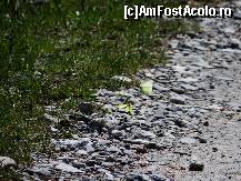 [P02]  -- <small>// FĂRĂ DESCRIERE</small> » foto by baby eyes
 - 
<span class="allrVoted glyphicon glyphicon-heart hidden" id="av419302"></span>
<a class="m-l-10 hidden" id="sv419302" onclick="voting_Foto_DelVot(,419302,3180)" role="button">șterge vot <span class="glyphicon glyphicon-remove"></span></a>
<a id="v9419302" class=" c-red"  onclick="voting_Foto_SetVot(419302)" role="button"><span class="glyphicon glyphicon-heart-empty"></span> <b>LIKE</b> = Votează poza</a> <img class="hidden"  id="f419302W9" src="/imagini/loader.gif" border="0" /><span class="AjErrMes hidden" id="e419302ErM"></span>