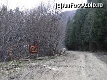 [P04]  -- <small>// FĂRĂ DESCRIERE</small> » foto by baby eyes
 - 
<span class="allrVoted glyphicon glyphicon-heart hidden" id="av419304"></span>
<a class="m-l-10 hidden" id="sv419304" onclick="voting_Foto_DelVot(,419304,3180)" role="button">șterge vot <span class="glyphicon glyphicon-remove"></span></a>
<a id="v9419304" class=" c-red"  onclick="voting_Foto_SetVot(419304)" role="button"><span class="glyphicon glyphicon-heart-empty"></span> <b>LIKE</b> = Votează poza</a> <img class="hidden"  id="f419304W9" src="/imagini/loader.gif" border="0" /><span class="AjErrMes hidden" id="e419304ErM"></span>