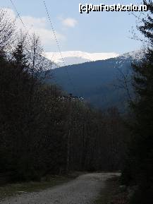 [P05]  -- <small>// FĂRĂ DESCRIERE</small> » foto by baby eyes
 - 
<span class="allrVoted glyphicon glyphicon-heart hidden" id="av419305"></span>
<a class="m-l-10 hidden" id="sv419305" onclick="voting_Foto_DelVot(,419305,3180)" role="button">șterge vot <span class="glyphicon glyphicon-remove"></span></a>
<a id="v9419305" class=" c-red"  onclick="voting_Foto_SetVot(419305)" role="button"><span class="glyphicon glyphicon-heart-empty"></span> <b>LIKE</b> = Votează poza</a> <img class="hidden"  id="f419305W9" src="/imagini/loader.gif" border="0" /><span class="AjErrMes hidden" id="e419305ErM"></span>