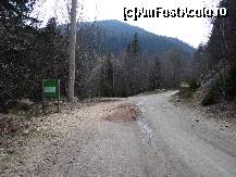 [P06]  -- <small>// FĂRĂ DESCRIERE</small> » foto by baby eyes
 - 
<span class="allrVoted glyphicon glyphicon-heart hidden" id="av419306"></span>
<a class="m-l-10 hidden" id="sv419306" onclick="voting_Foto_DelVot(,419306,3180)" role="button">șterge vot <span class="glyphicon glyphicon-remove"></span></a>
<a id="v9419306" class=" c-red"  onclick="voting_Foto_SetVot(419306)" role="button"><span class="glyphicon glyphicon-heart-empty"></span> <b>LIKE</b> = Votează poza</a> <img class="hidden"  id="f419306W9" src="/imagini/loader.gif" border="0" /><span class="AjErrMes hidden" id="e419306ErM"></span>