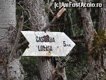 [P07]  -- <small>// FĂRĂ DESCRIERE</small> » foto by baby eyes
 - 
<span class="allrVoted glyphicon glyphicon-heart hidden" id="av419307"></span>
<a class="m-l-10 hidden" id="sv419307" onclick="voting_Foto_DelVot(,419307,3180)" role="button">șterge vot <span class="glyphicon glyphicon-remove"></span></a>
<a id="v9419307" class=" c-red"  onclick="voting_Foto_SetVot(419307)" role="button"><span class="glyphicon glyphicon-heart-empty"></span> <b>LIKE</b> = Votează poza</a> <img class="hidden"  id="f419307W9" src="/imagini/loader.gif" border="0" /><span class="AjErrMes hidden" id="e419307ErM"></span>