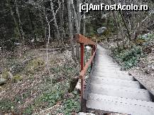 [P09] scările ce coboară de la indicator spre cascada Lolaia » foto by baby eyes
 - 
<span class="allrVoted glyphicon glyphicon-heart hidden" id="av419309"></span>
<a class="m-l-10 hidden" id="sv419309" onclick="voting_Foto_DelVot(,419309,3180)" role="button">șterge vot <span class="glyphicon glyphicon-remove"></span></a>
<a id="v9419309" class=" c-red"  onclick="voting_Foto_SetVot(419309)" role="button"><span class="glyphicon glyphicon-heart-empty"></span> <b>LIKE</b> = Votează poza</a> <img class="hidden"  id="f419309W9" src="/imagini/loader.gif" border="0" /><span class="AjErrMes hidden" id="e419309ErM"></span>