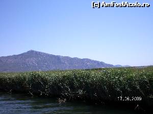 [P24] Plauri şi stuf în delta Dalyan străjuite de munţii din vecinătate » foto by irinad
 - 
<span class="allrVoted glyphicon glyphicon-heart hidden" id="av615032"></span>
<a class="m-l-10 hidden" id="sv615032" onclick="voting_Foto_DelVot(,615032,3186)" role="button">șterge vot <span class="glyphicon glyphicon-remove"></span></a>
<a id="v9615032" class=" c-red"  onclick="voting_Foto_SetVot(615032)" role="button"><span class="glyphicon glyphicon-heart-empty"></span> <b>LIKE</b> = Votează poza</a> <img class="hidden"  id="f615032W9" src="/imagini/loader.gif" border="0" /><span class="AjErrMes hidden" id="e615032ErM"></span>