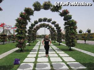 [P28] Miracle Garden » foto by feliciarosca
 - 
<span class="allrVoted glyphicon glyphicon-heart hidden" id="av430042"></span>
<a class="m-l-10 hidden" id="sv430042" onclick="voting_Foto_DelVot(,430042,3199)" role="button">șterge vot <span class="glyphicon glyphicon-remove"></span></a>
<a id="v9430042" class=" c-red"  onclick="voting_Foto_SetVot(430042)" role="button"><span class="glyphicon glyphicon-heart-empty"></span> <b>LIKE</b> = Votează poza</a> <img class="hidden"  id="f430042W9" src="/imagini/loader.gif" border="0" /><span class="AjErrMes hidden" id="e430042ErM"></span>