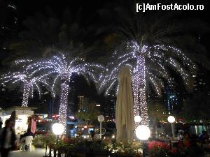 [P11] Plimbare de noapte in Dubai Marina - terase, flori si palmieri » foto by cryss27
 - 
<span class="allrVoted glyphicon glyphicon-heart hidden" id="av408970"></span>
<a class="m-l-10 hidden" id="sv408970" onclick="voting_Foto_DelVot(,408970,3199)" role="button">șterge vot <span class="glyphicon glyphicon-remove"></span></a>
<a id="v9408970" class=" c-red"  onclick="voting_Foto_SetVot(408970)" role="button"><span class="glyphicon glyphicon-heart-empty"></span> <b>LIKE</b> = Votează poza</a> <img class="hidden"  id="f408970W9" src="/imagini/loader.gif" border="0" /><span class="AjErrMes hidden" id="e408970ErM"></span>