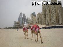 [P41] Dubai Marina » foto by fighter
 - 
<span class="allrVoted glyphicon glyphicon-heart hidden" id="av315016"></span>
<a class="m-l-10 hidden" id="sv315016" onclick="voting_Foto_DelVot(,315016,3199)" role="button">șterge vot <span class="glyphicon glyphicon-remove"></span></a>
<a id="v9315016" class=" c-red"  onclick="voting_Foto_SetVot(315016)" role="button"><span class="glyphicon glyphicon-heart-empty"></span> <b>LIKE</b> = Votează poza</a> <img class="hidden"  id="f315016W9" src="/imagini/loader.gif" border="0" /><span class="AjErrMes hidden" id="e315016ErM"></span>